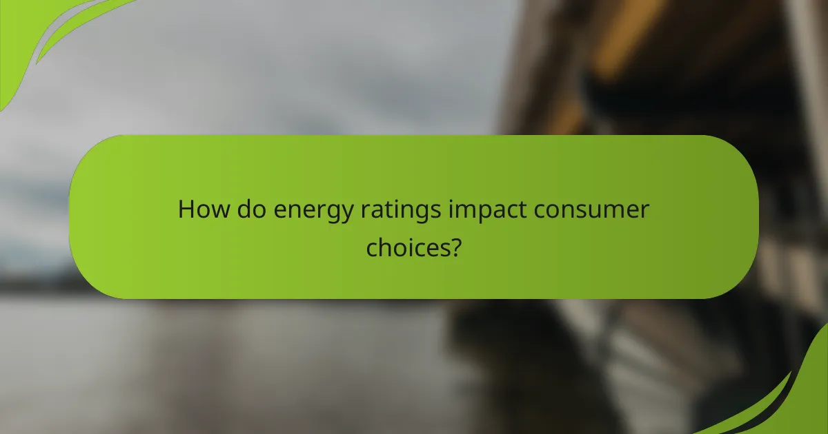 How do energy ratings impact consumer choices?