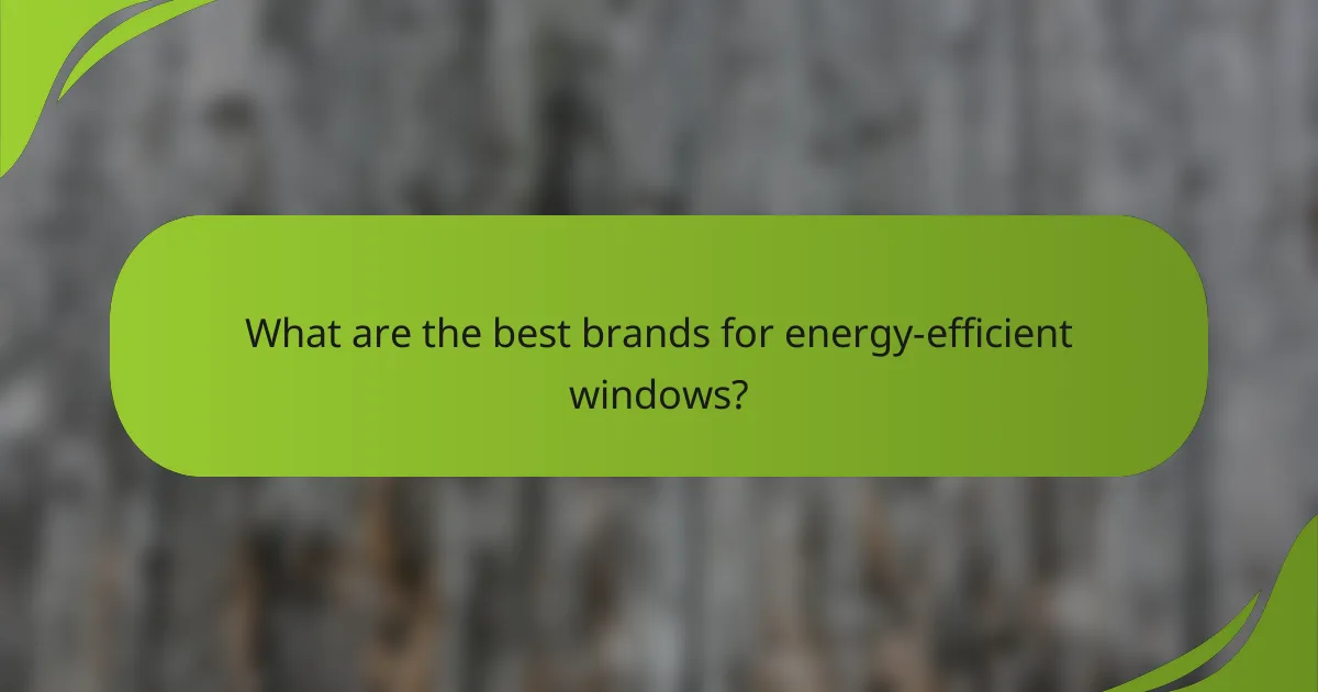 What are the best brands for energy-efficient windows?